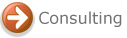 indiana Web Design consulting, indiana Internet consulting, indiana Web Design Internet consutling